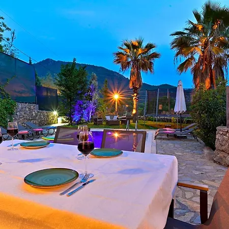 Vitello *